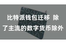 比特派钱包迁移 除了主流的数字货币除外