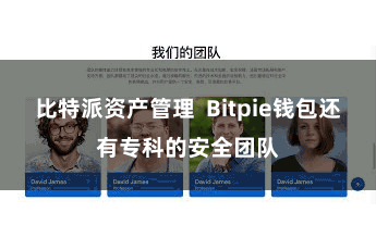 比特派资产管理 Bitpie钱包还有专科的安全团队