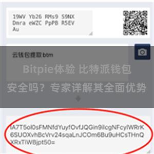 Bitpie体验 比特派钱包安全吗？专家详解其全面优势