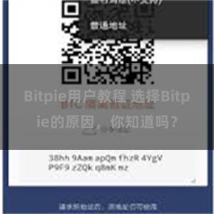 Bitpie用户教程 选择Bitpie的原因，你知道吗？