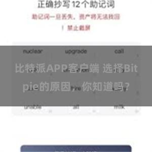 比特派APP客户端 选择Bitpie的原因，你知道吗？