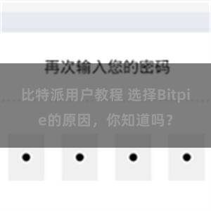 比特派用户教程 选择Bitpie的原因，你知道吗？