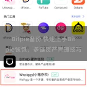 Bitpie备份 快速上手Bitpie钱包，多链资产管理技巧