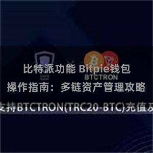 比特派功能 Bitpie钱包操作指南：多链资产管理攻略