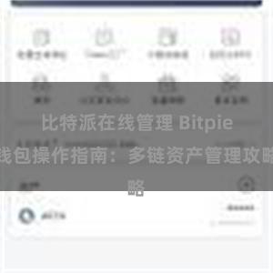 比特派在线管理 Bitpie钱包操作指南：多链资产管理攻略