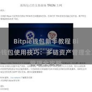 Bitpie钱包新手教程 Bitpie钱包使用技巧：多链资产管理全攻略