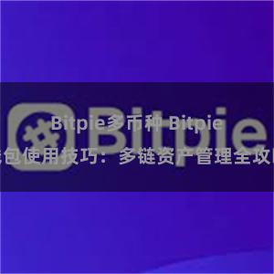 Bitpie多币种 Bitpie钱包使用技巧：多链资产管理全攻略