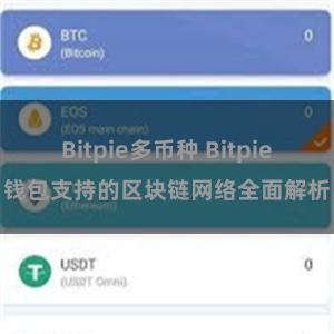 Bitpie多币种 Bitpie钱包支持的区块链网络全面解析