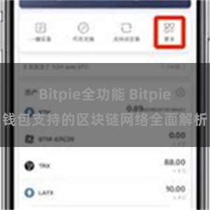 Bitpie全功能 Bitpie钱包支持的区块链网络全面解析