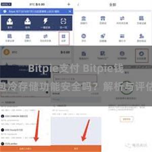 Bitpie支付 Bitpie钱包冷存储功能安全吗？解析与评估