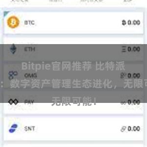 Bitpie官网推荐 比特派钱包：数字资产管理生态进化，无限可能！