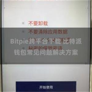 Bitpie跨平台下载 比特派钱包常见问题解决方案