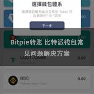 Bitpie转账 比特派钱包常见问题解决方案