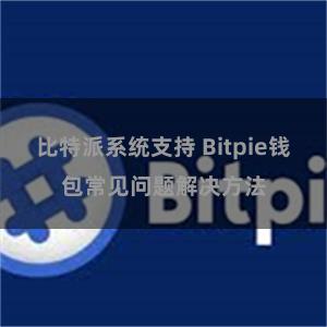 比特派系统支持 Bitpie钱包常见问题解决方法