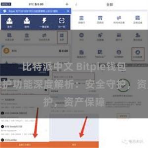 比特派中文 Bitpie钱包隐私保护功能深度解析：安全守护，资产保障