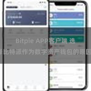 Bitpie APP客户端 选择比特派作为数字资产钱包的原因。