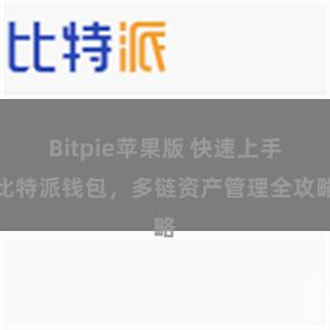 Bitpie苹果版 快速上手比特派钱包，多链资产管理全攻略