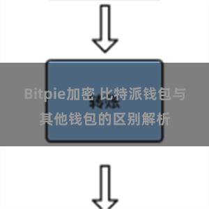 Bitpie加密 比特派钱包与其他钱包的区别解析