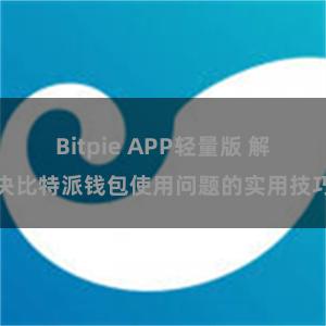 Bitpie APP轻量版 解决比特派钱包使用问题的实用技巧