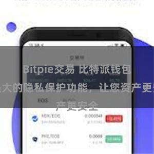 Bitpie交易 比特派钱包：强大的隐私保护功能，让您资产更安全