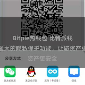 Bitpie热钱包 比特派钱包：强大的隐私保护功能，让您资产更安全