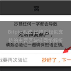 Bitpie系统 比特派钱包支持的主要区块链网络解析