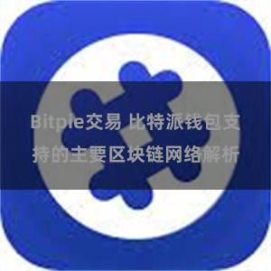 Bitpie交易 比特派钱包支持的主要区块链网络解析