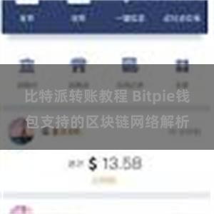 比特派转账教程 Bitpie钱包支持的区块链网络解析