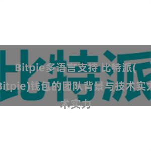 Bitpie多语言支持 比特派(Bitpie)钱包的团队背景与技术实力