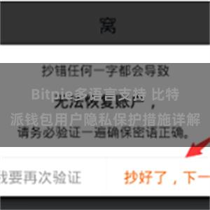 Bitpie多语言支持 比特派钱包用户隐私保护措施详解