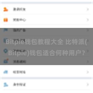 Bitpie钱包教程大全 比特派(Bitpie)钱包适合何种用户？