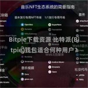 Bitpie下载资源 比特派(Bitpie)钱包适合何种用户？