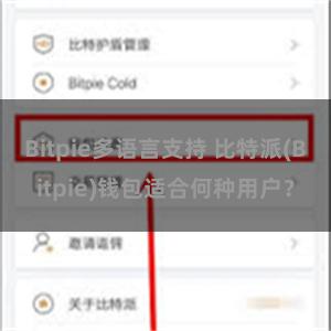 Bitpie多语言支持 比特派(Bitpie)钱包适合何种用户？