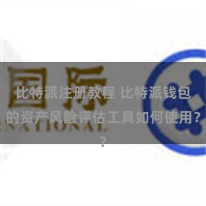 比特派注册教程 比特派钱包的资产风险评估工具如何使用？