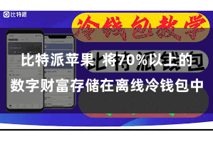 比特派苹果  将70%以上的数字财富存储在离线冷钱包中