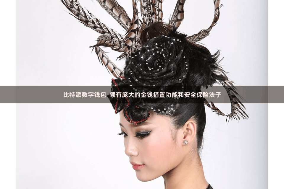 比特派数字钱包  领有庞大的金钱措置功能和安全保险法子